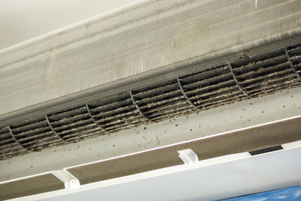 Best Professional Duct Cleaning Services  in Narragansett Pier, RI